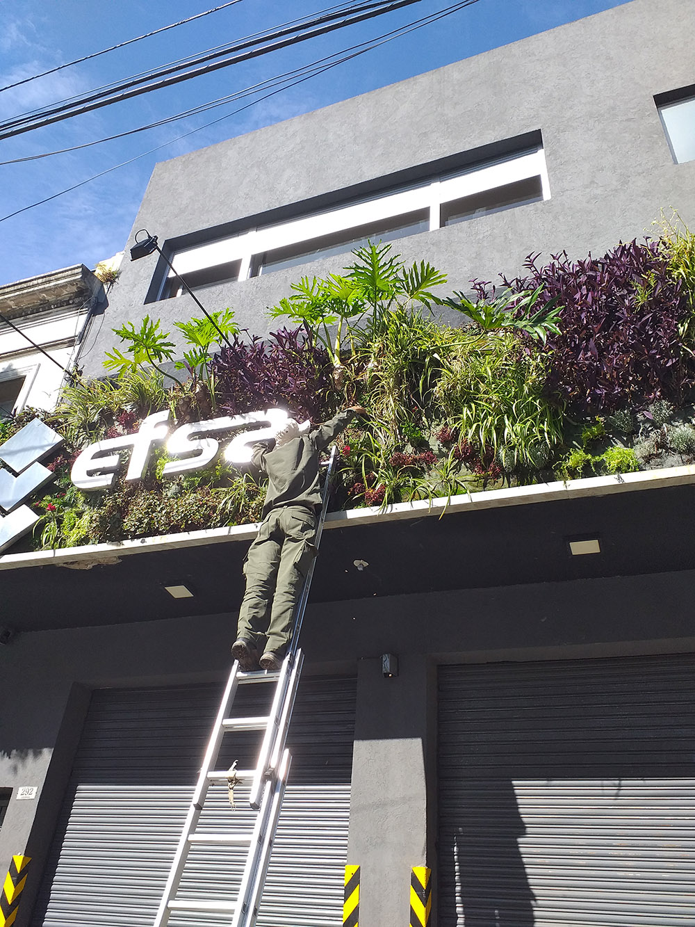 Jardín Urbano - Imágen de gelería